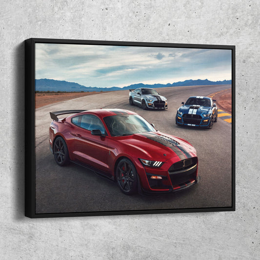 2020 Shelby GT500 Mustang