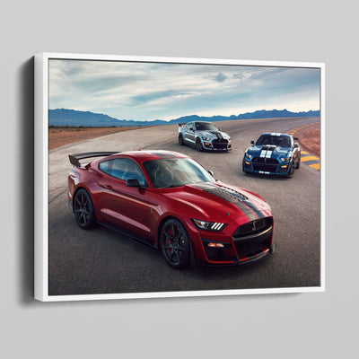 2020 Shelby GT500 Mustang