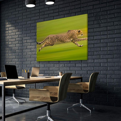Cheetah On The Run - Amazing Canvas Prints