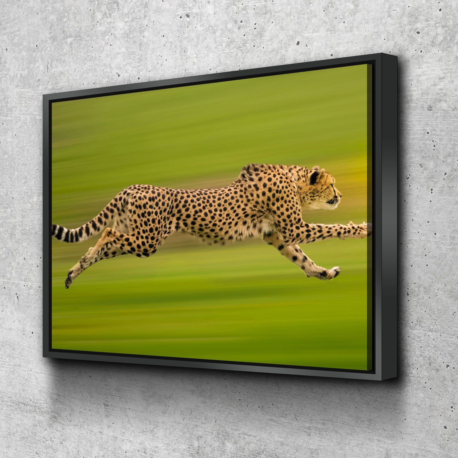 Cheetah On The Run - Amazing Canvas Prints