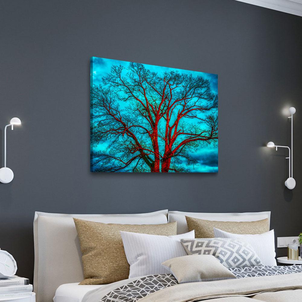 Contrasting Skies - Amazing Canvas Prints