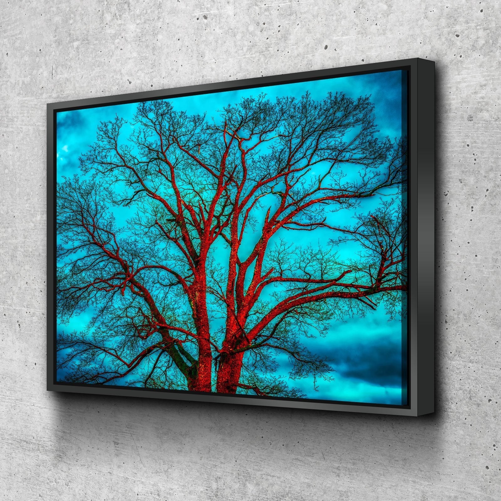 Contrasting Skies - Amazing Canvas Prints
