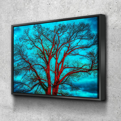 Contrasting Skies - Amazing Canvas Prints