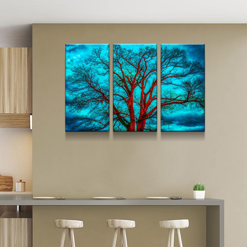 Contrasting Skies - Amazing Canvas Prints
