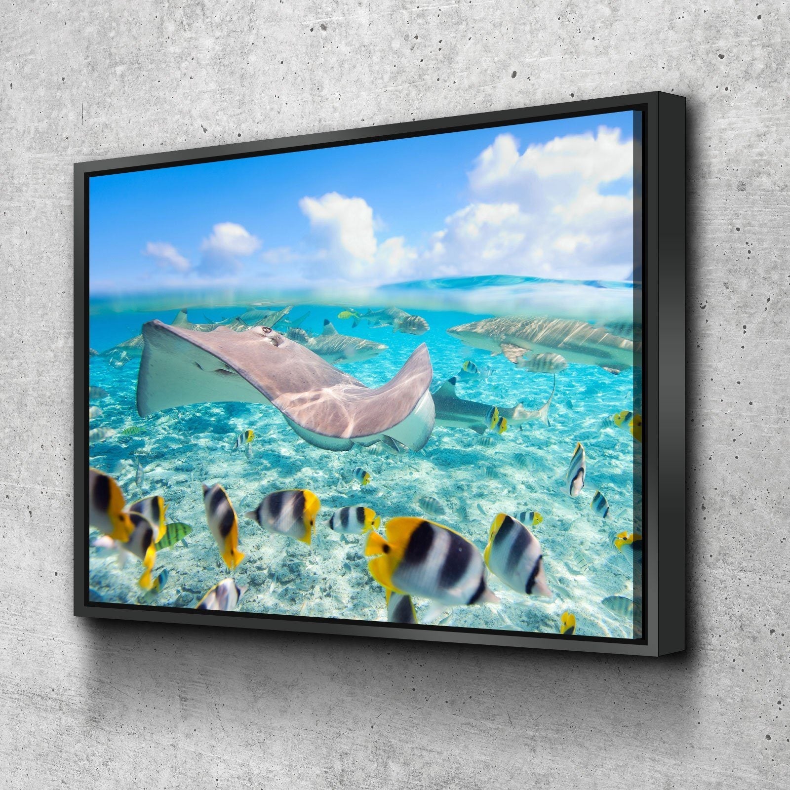Divers Dream - Amazing Canvas Prints
