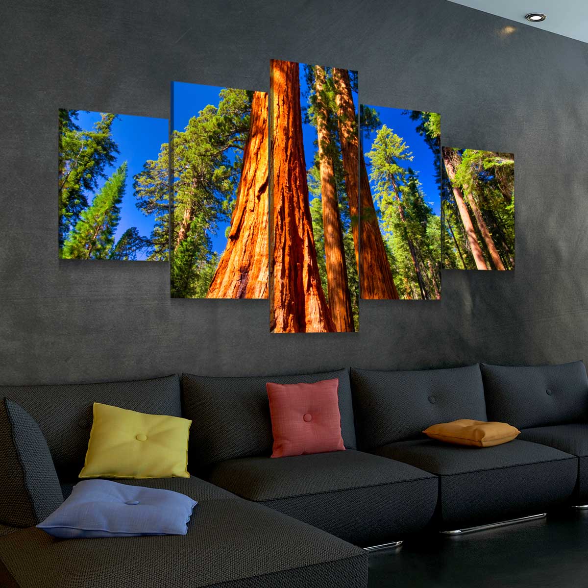 Giant Sequoia Trees In Mariposa Grove