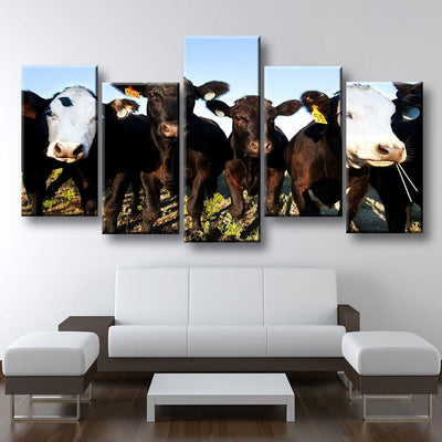Angus Cattle - Amazing Canvas Prints