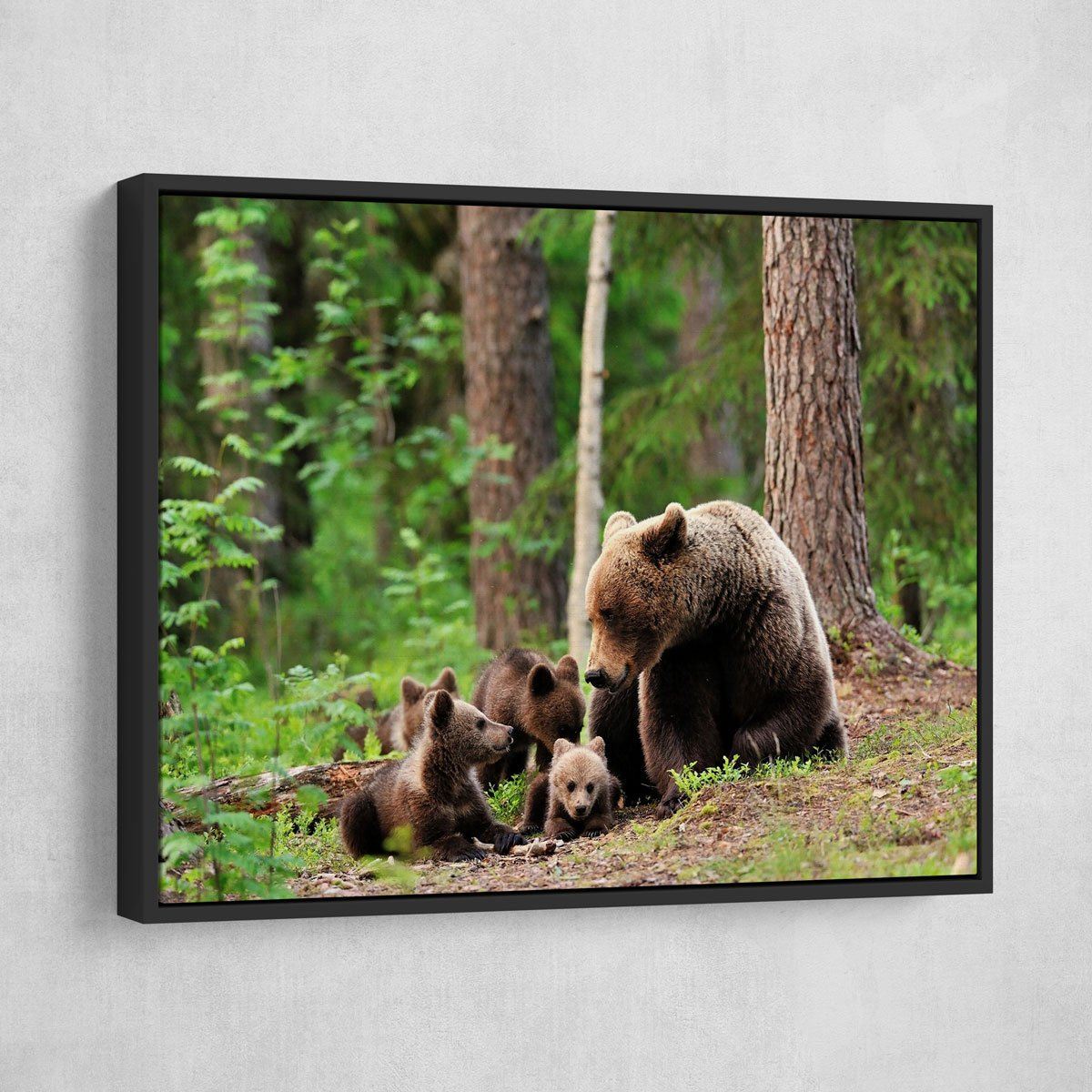 Bear Family - Amazing Canvas Prints