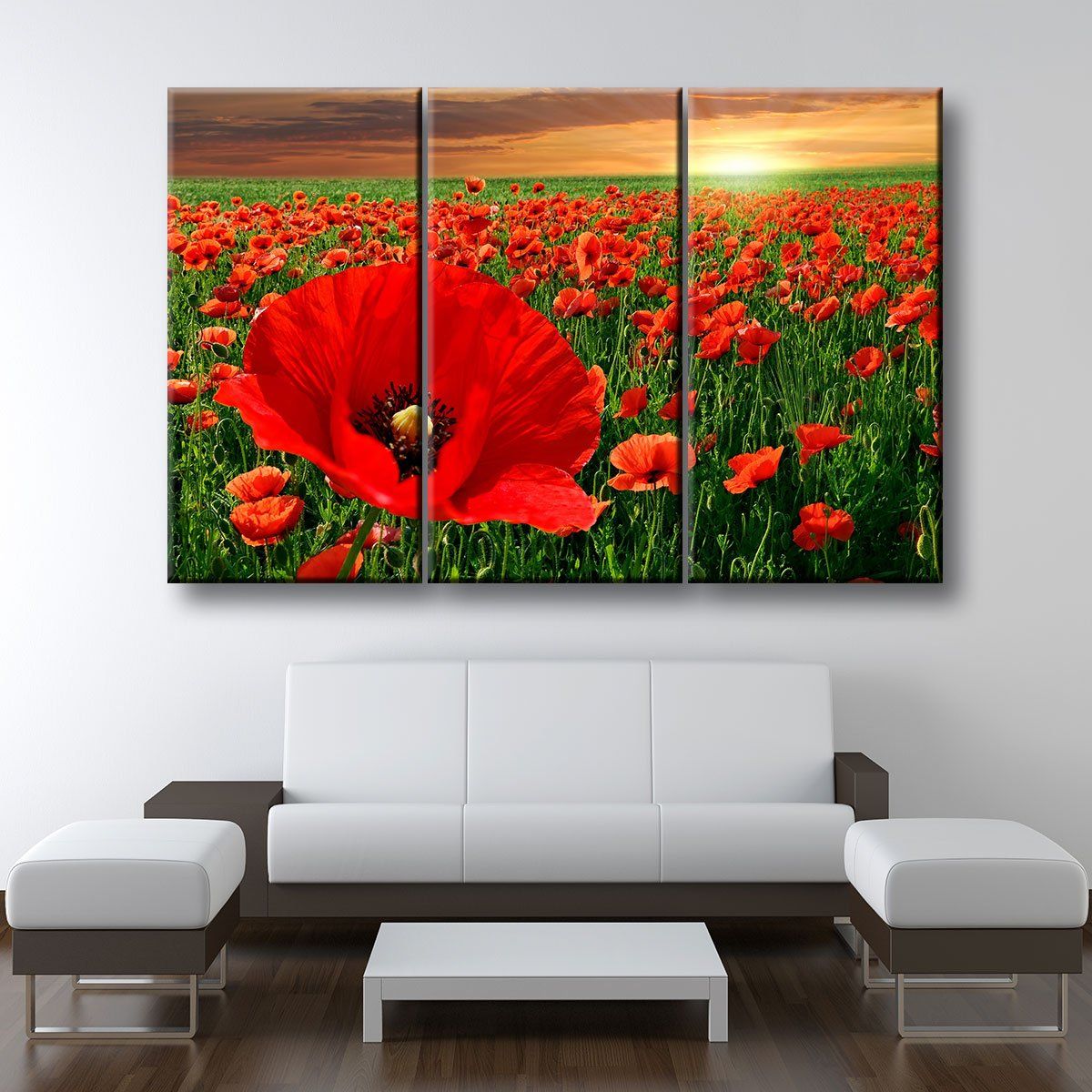 Poppy Fields - Amazing Canvas Prints