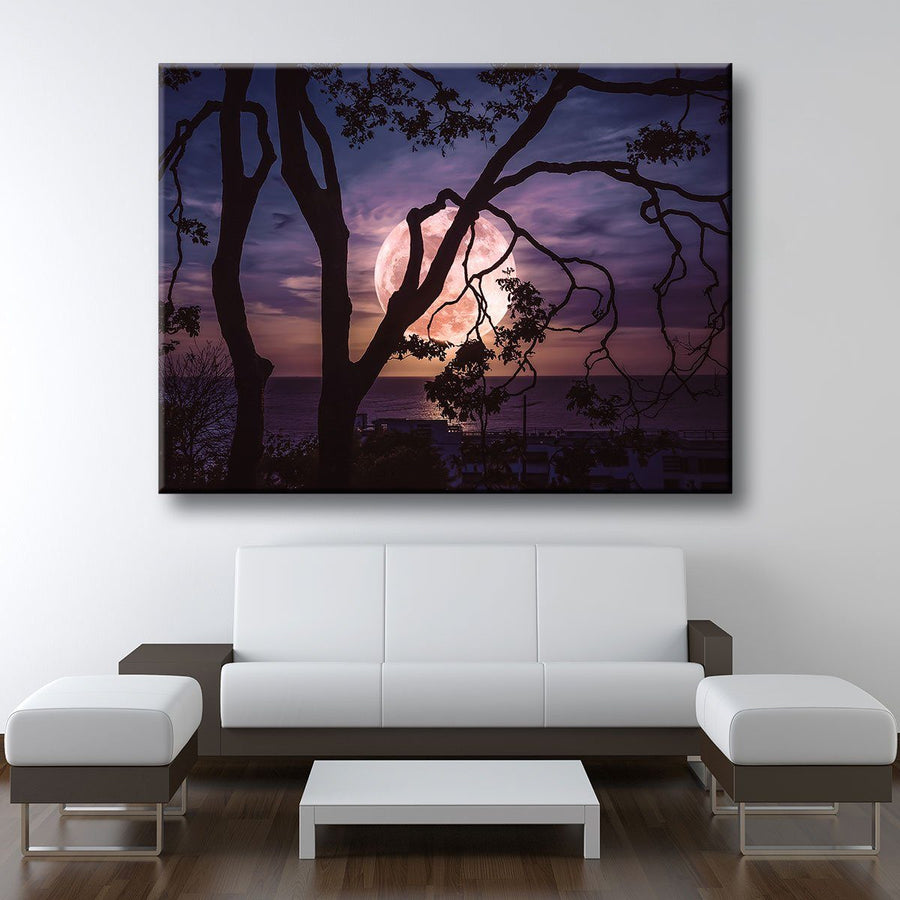 Through The Branches - Amazing Canvas Prints