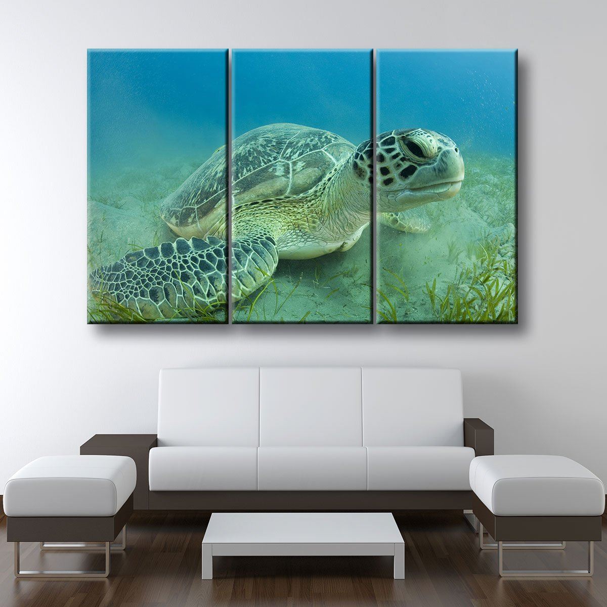 Young Sea Turtle - Amazing Canvas Prints