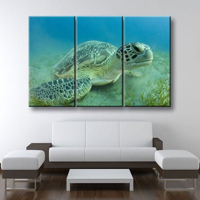Young Sea Turtle - Amazing Canvas Prints