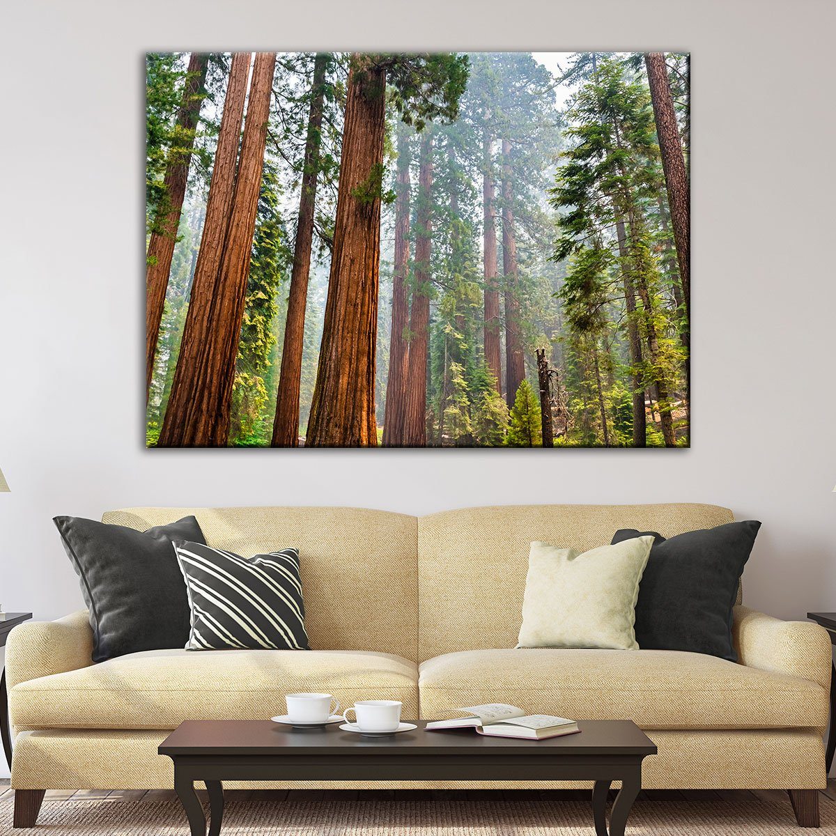 Sequoia Trees In Mariposa Grove