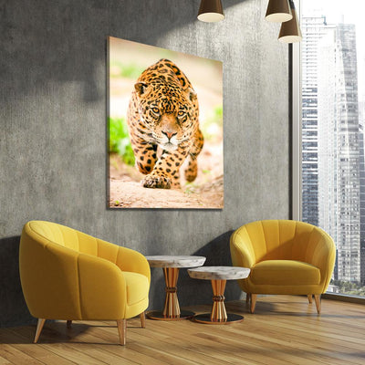 Sneaking Jaguar - Amazing Canvas Prints